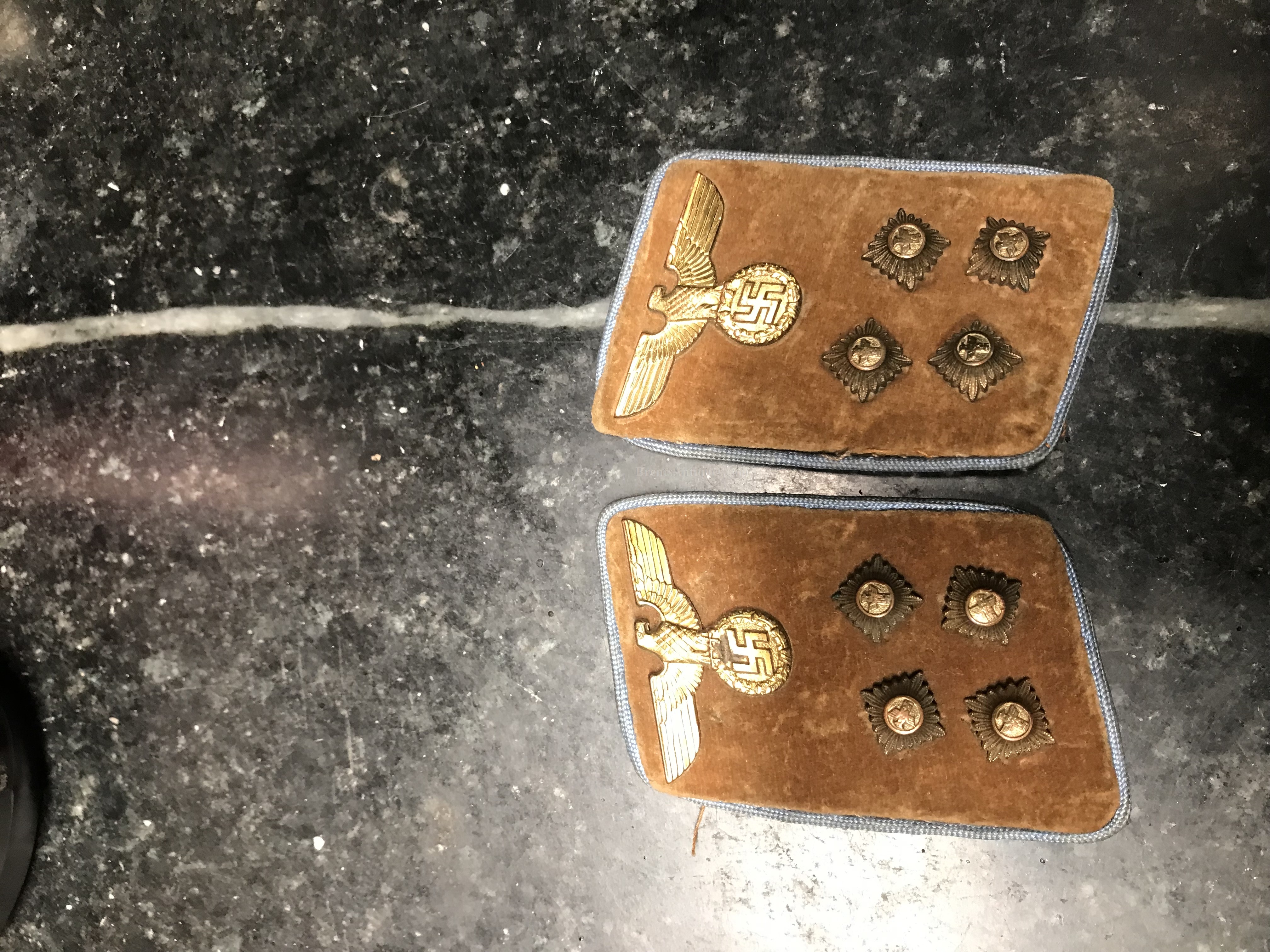 Nice Matching pair of WWII Nazi Political Leaders Collar tabs image