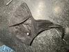 Click here to see the details of this item